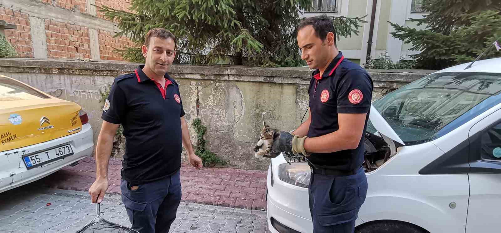 İtfaiye ekiplerinden yavru kedi kurtarma operasyonu 