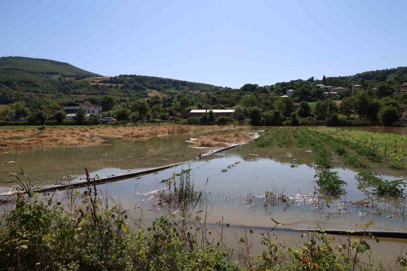 Bafra’da su kanalı taştı, mahsuller sular altında: Üreticiler tepkili 
