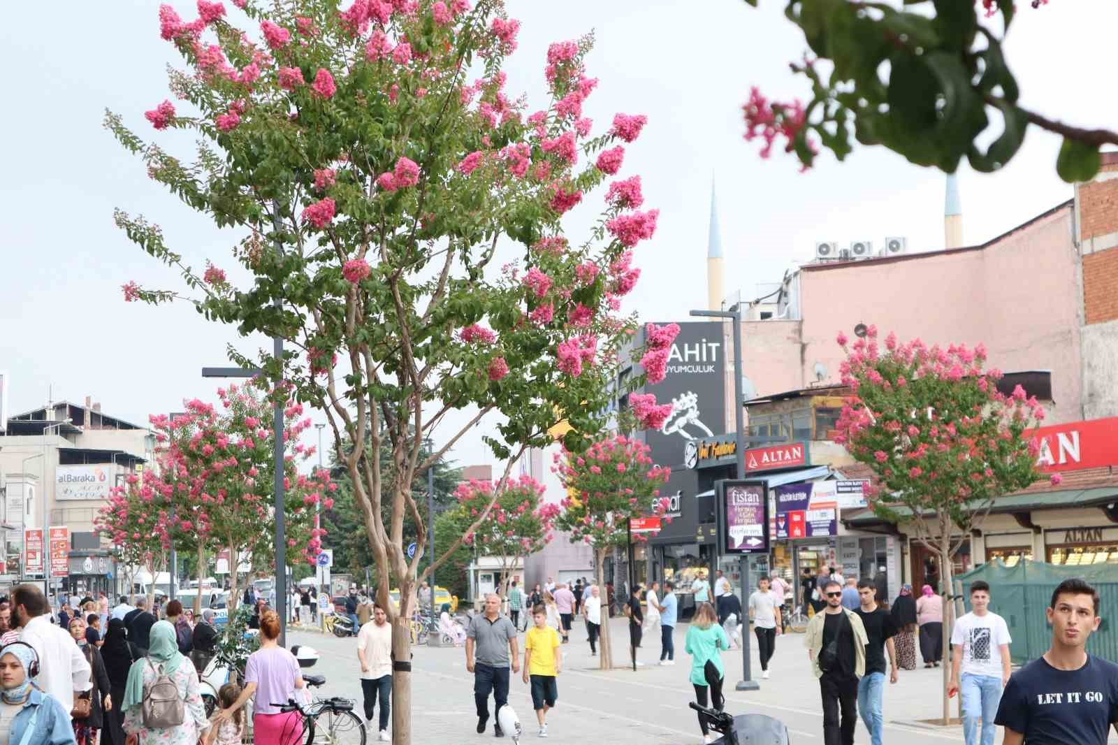 Düzce’de kişi başına 29 metrekare yeşil alan düşüyor 