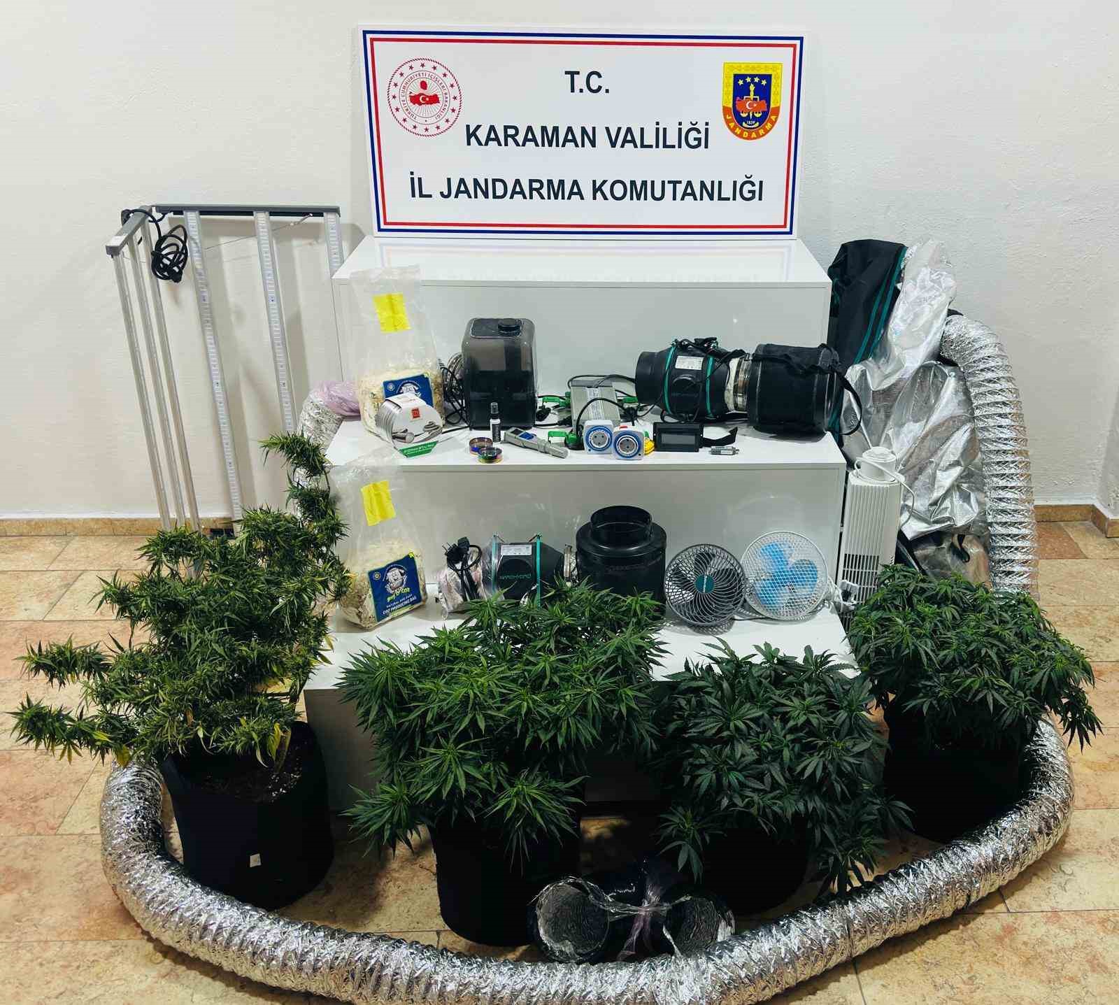 Kenevir yetiştirmek için kamp çadırını gizli sera yaptılar: 3 gözaltı 