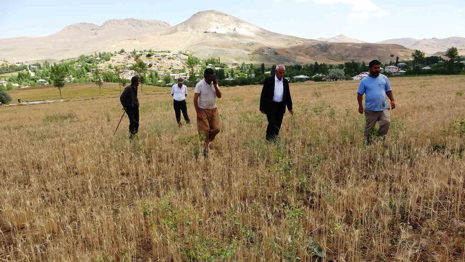 Vanlı çiftçiler sulama göleti istiyor 