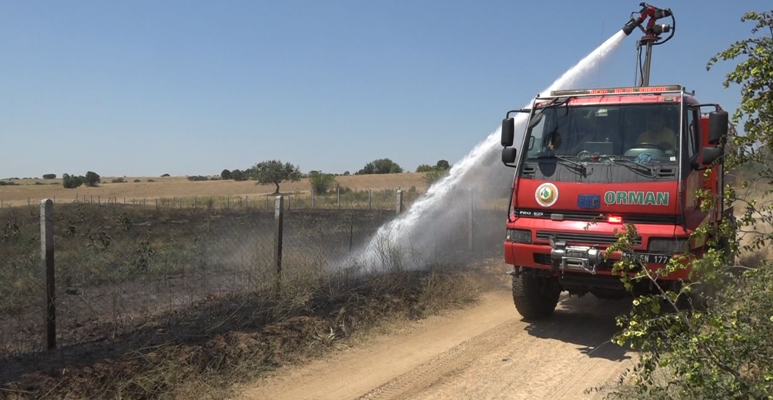 Kırklareli’nde çıkan yangında 20 dekar ceviz bahçesi zarar gördü