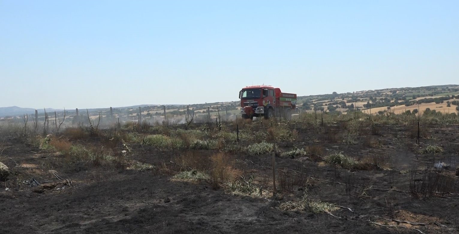 Kırklareli’nde çıkan yangında 20 dekar ceviz bahçesi zarar gördü 