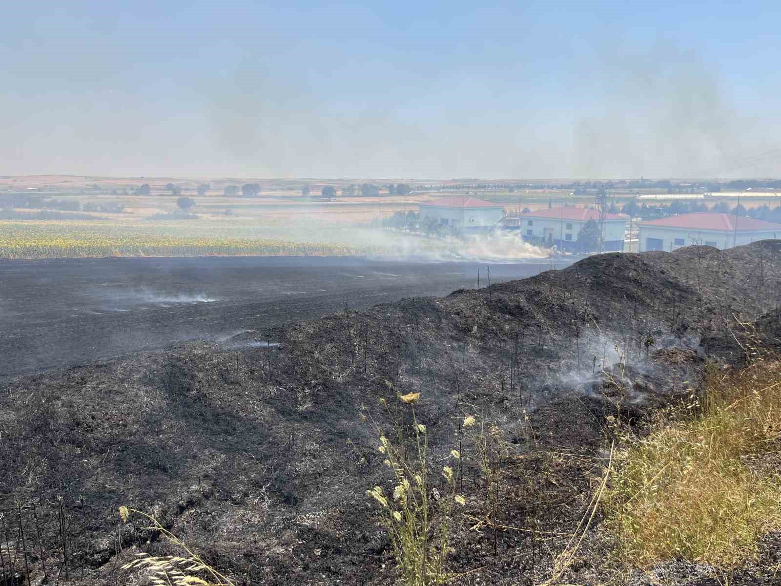 Tekirdağ’da çıkan tarla yangını söndürüldü 
