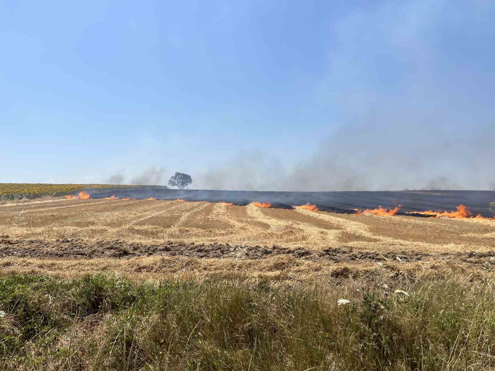 Tekirdağ’da çıkan tarla yangını söndürüldü 