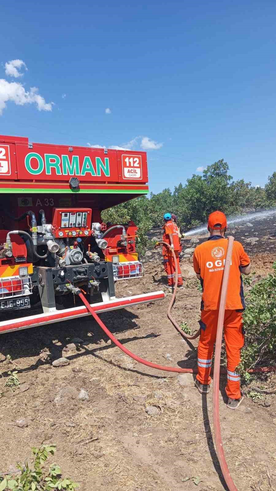 Bingöl’deki orman yangını kontrol altına alındı 