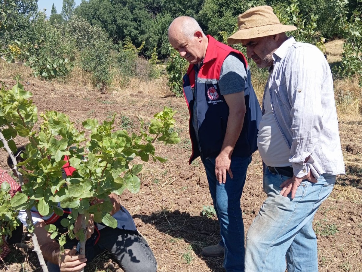 Siirt’te fıstık üreticilerine uygulamalı eğitim 