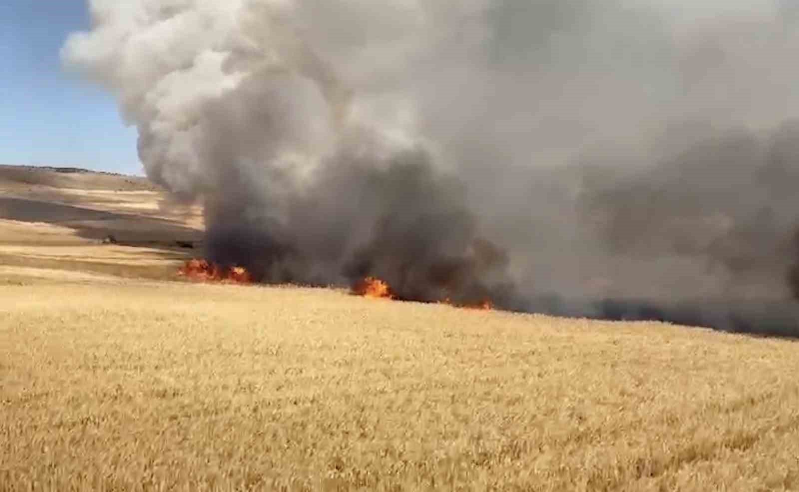 Çorum’da çıkan yangında 3 bin dekar buğday tarlası zarar gördü 