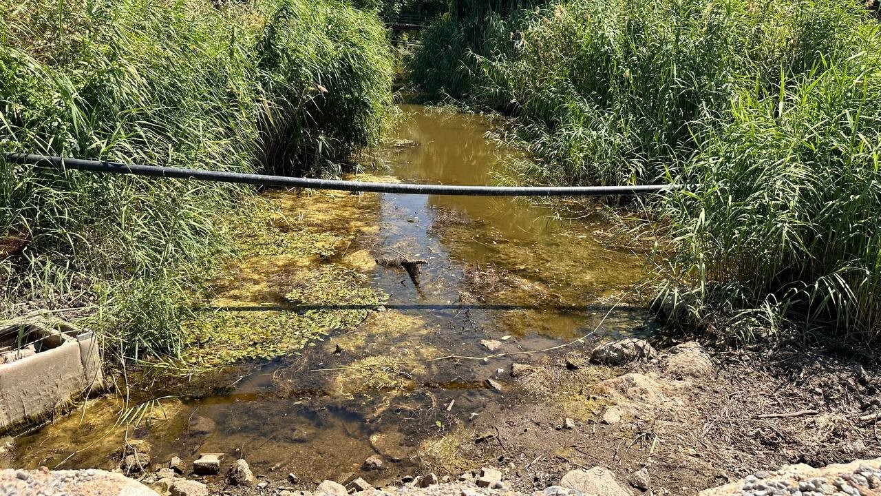İznik’te kuraklık alarmı...Çakırca deresi kurudu, göl çekilmeye başladı 