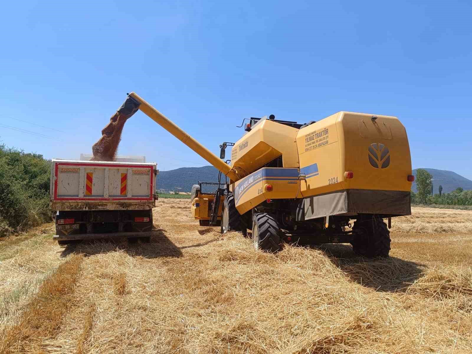 Tarım arazilerinde hasat sevinci 