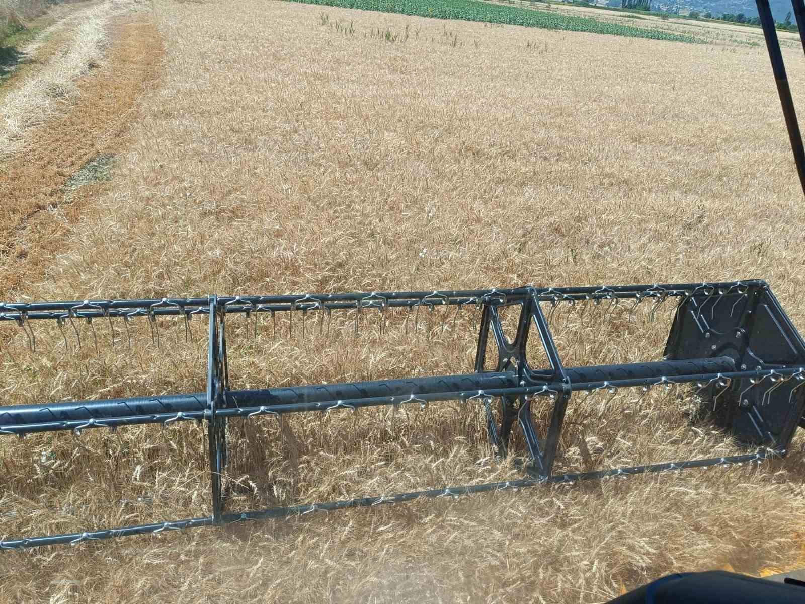 Tarım arazilerinde hasat sevinci 