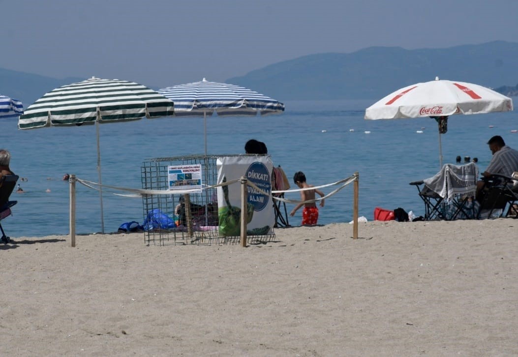 Kuşadası’nda ilk caretta caretta yuvası belirlendi 