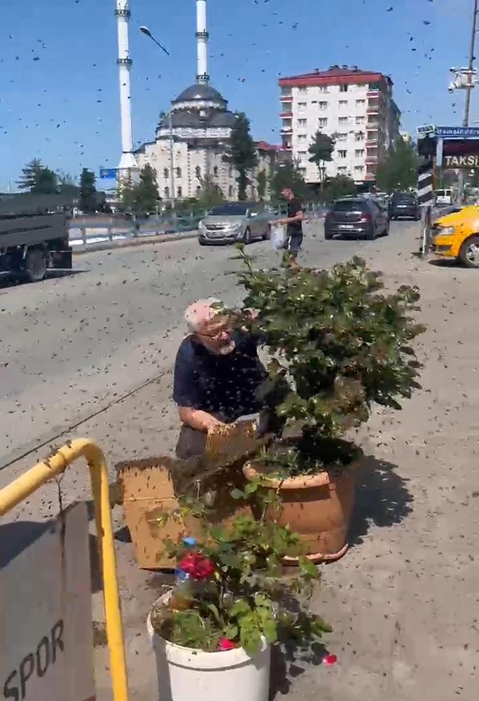 Rize’de arıların çiçek seferi 
