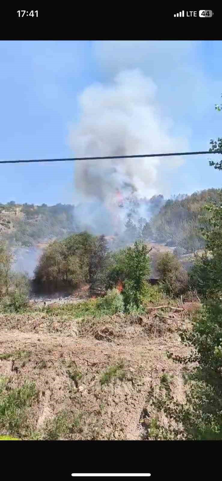 Bilecik’te bir başka orman yangını daha çıktı 