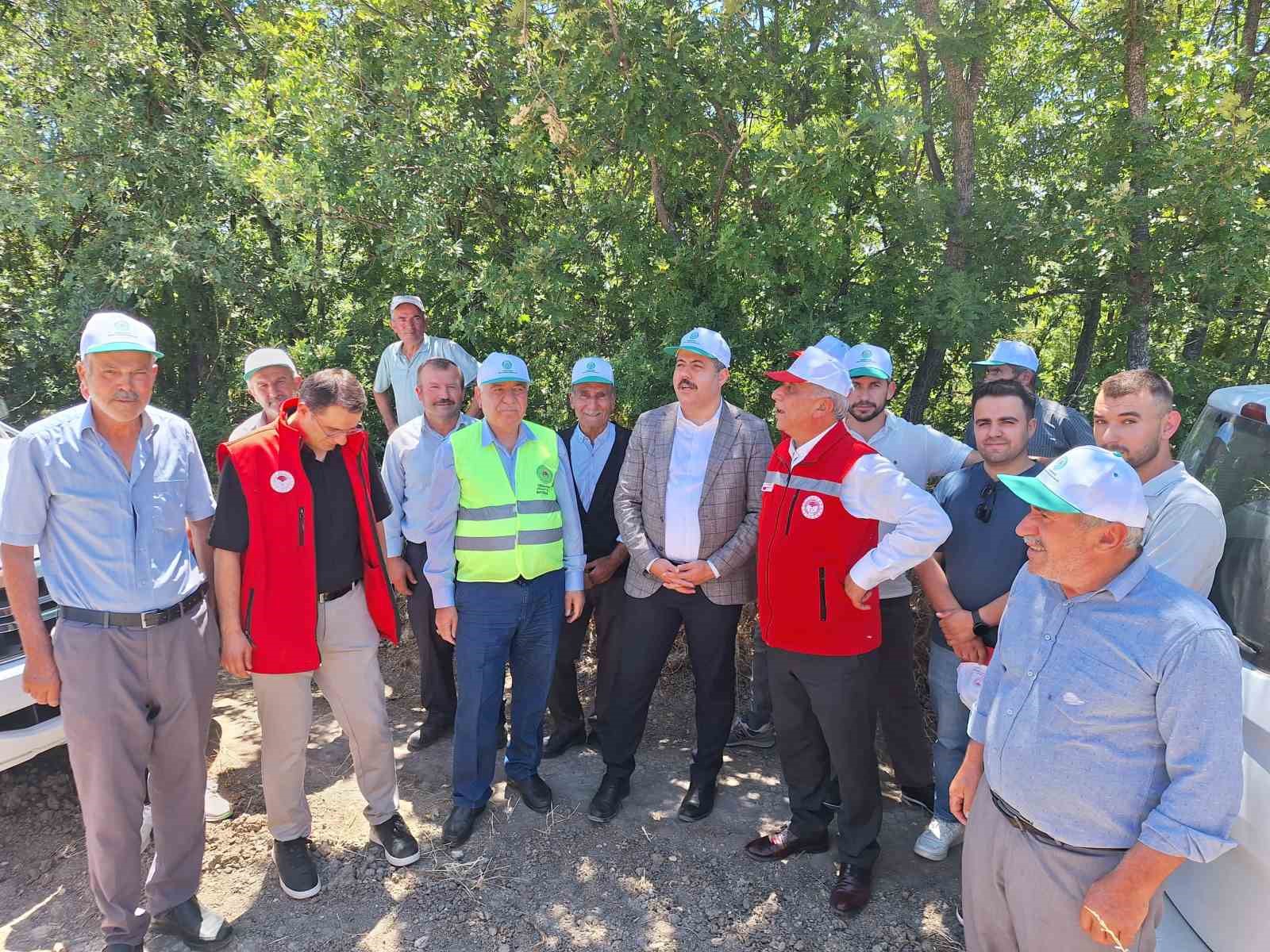 Vezirköprü’de kanola hasadı başladı 
