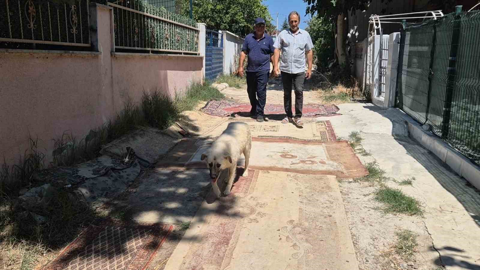 Tekirdağ’da belediye yol yapmayınca vatandaş sokağa halı serdi 