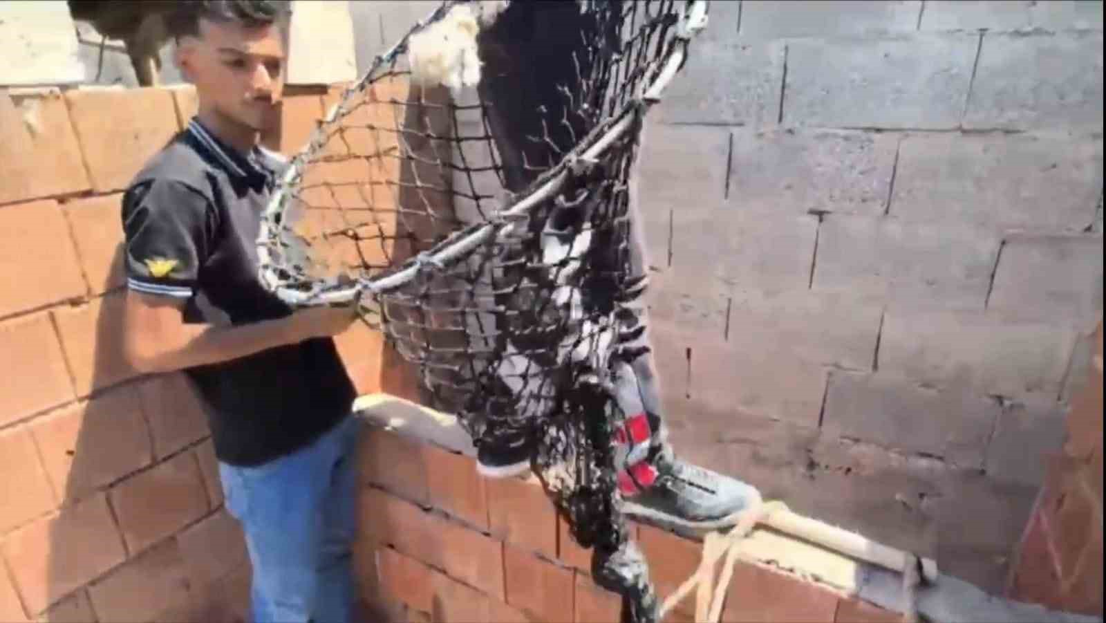 İtfaiyeden kedi kurtarma operasyonu 
