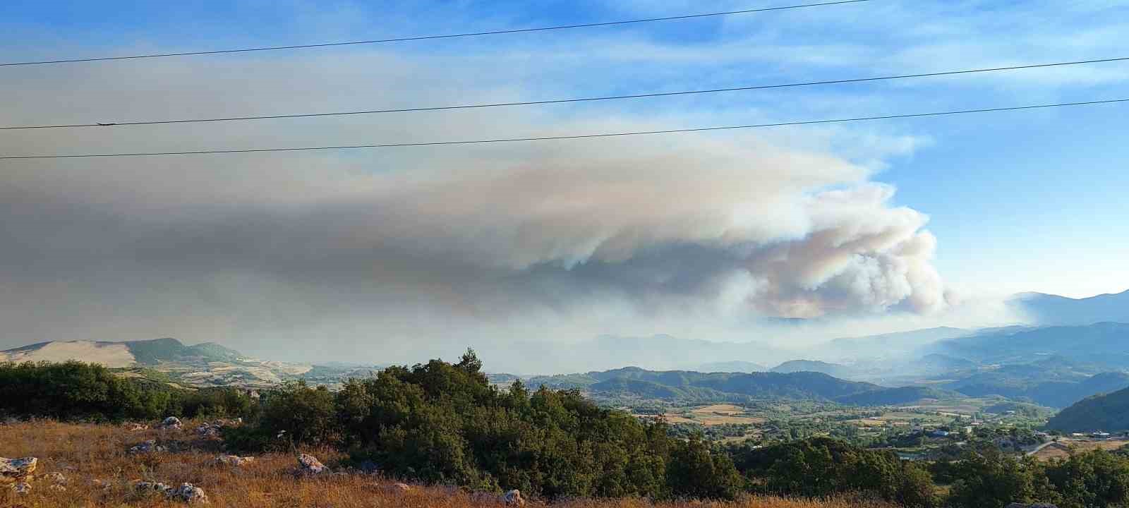 Suriye’de devam eden orman yangını Türkiye sınırına ulaştı 