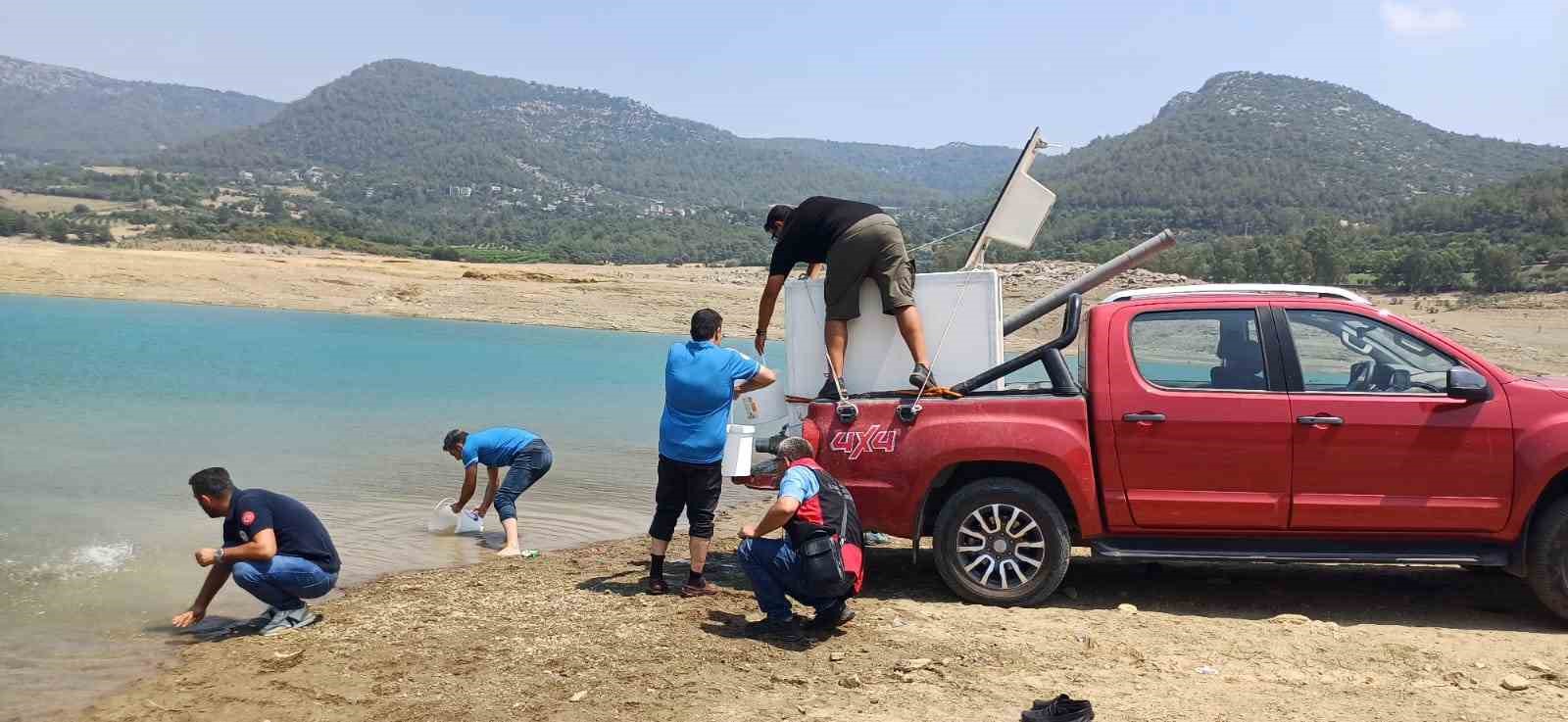 Kilgen Barajı’na 321 bin yavru sazan, baraja bırakıldı 