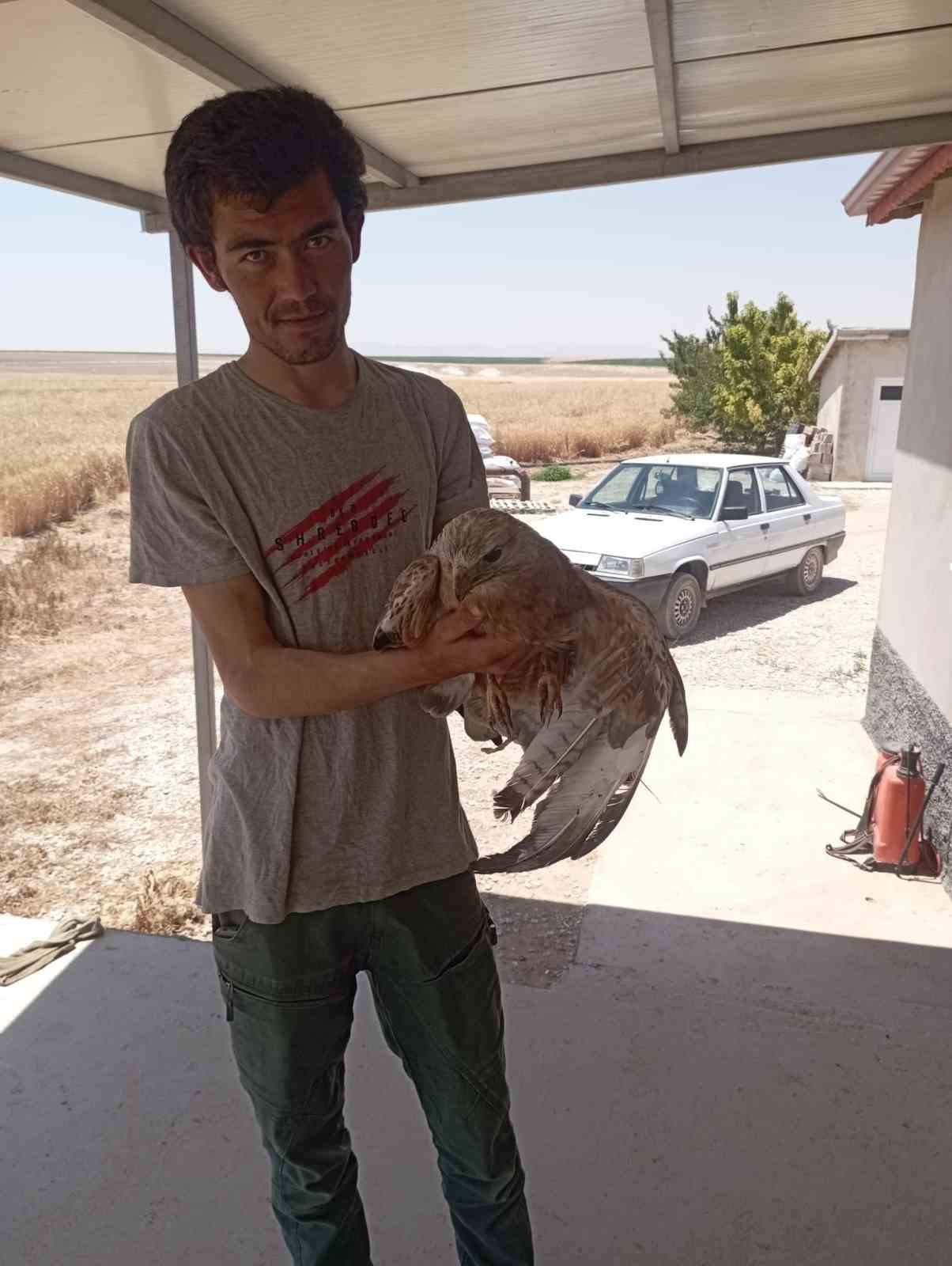 Karapınar’da yaralı şahin koruma altına alındı 