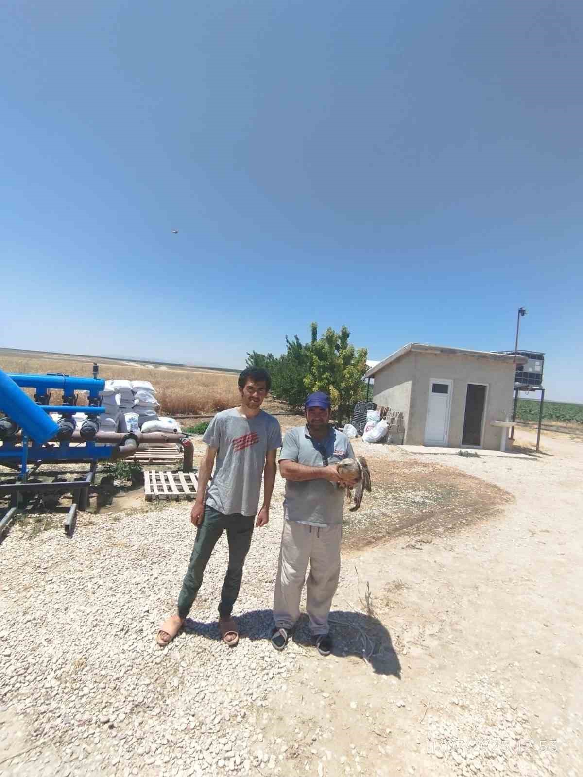 Karapınar’da yaralı şahin koruma altına alındı 