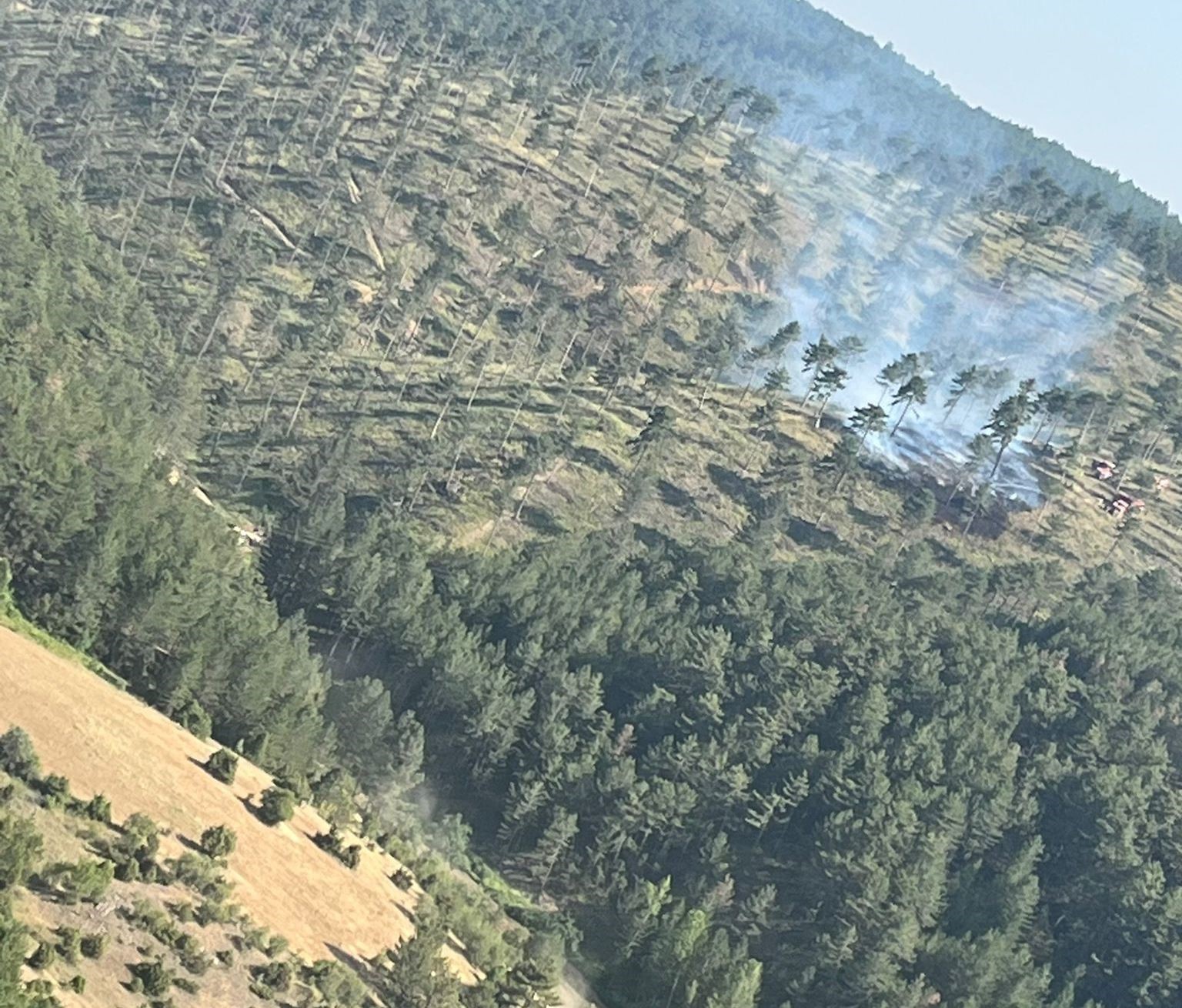 Kütahya’da gençleştirme sahasında çıkan orman yangını söndürüldü 