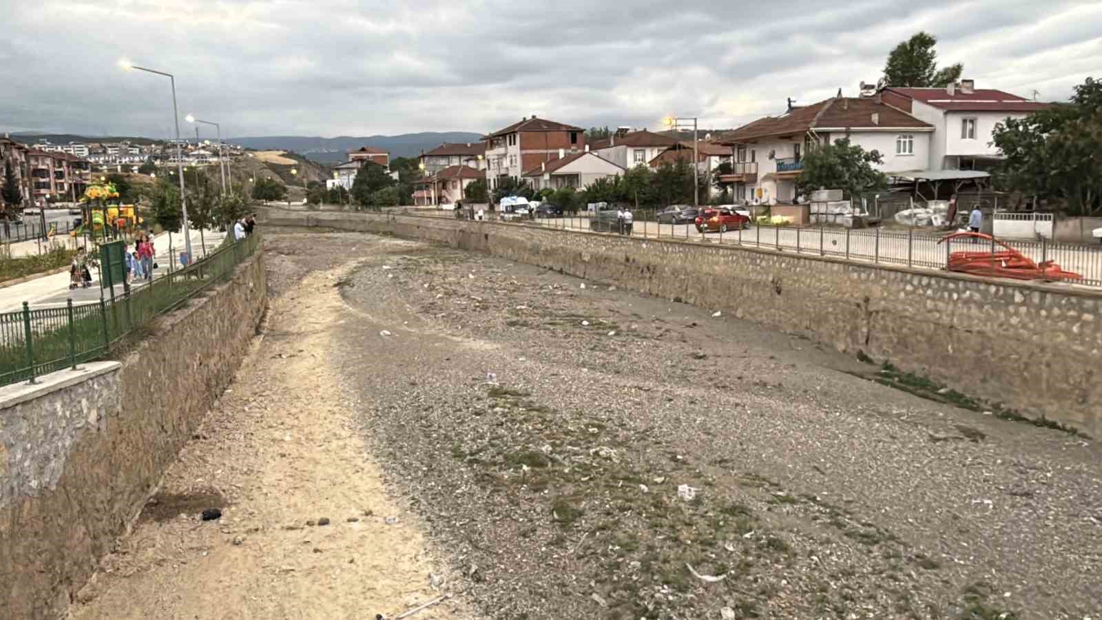 Kediye yardım etmek isterken su kanalına düştü 