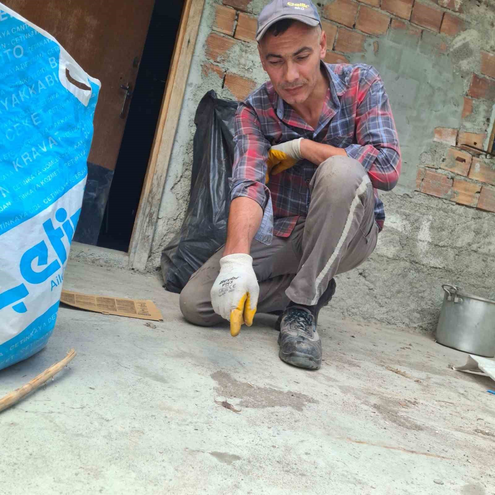 Çorum’da zehirli akrep eve girmeye çalışırken yakalandı 