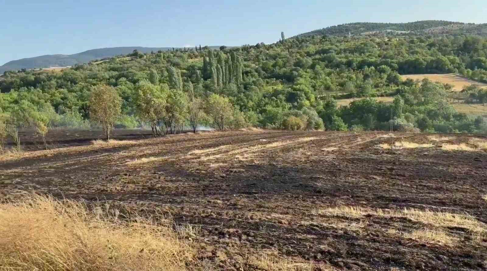 Karabük’te çıkan anız yangınında 25 dönüm alan zarar gördü 