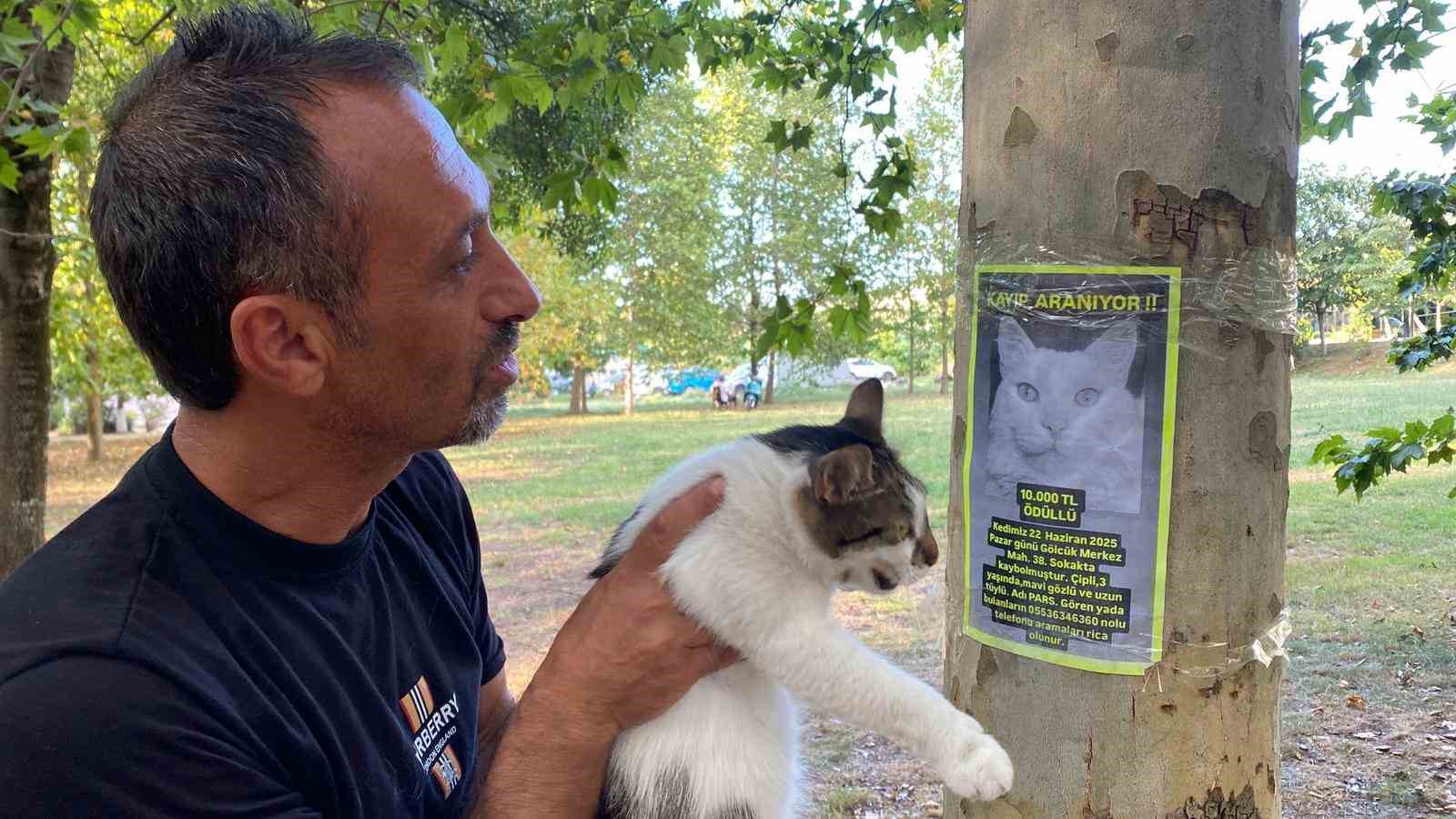 Her yerde onu arıyor: Bulana 10 bin TL verecek 