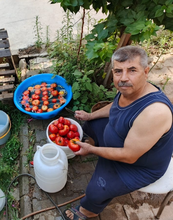 Aydın’da salça yapım telaşı başladı 