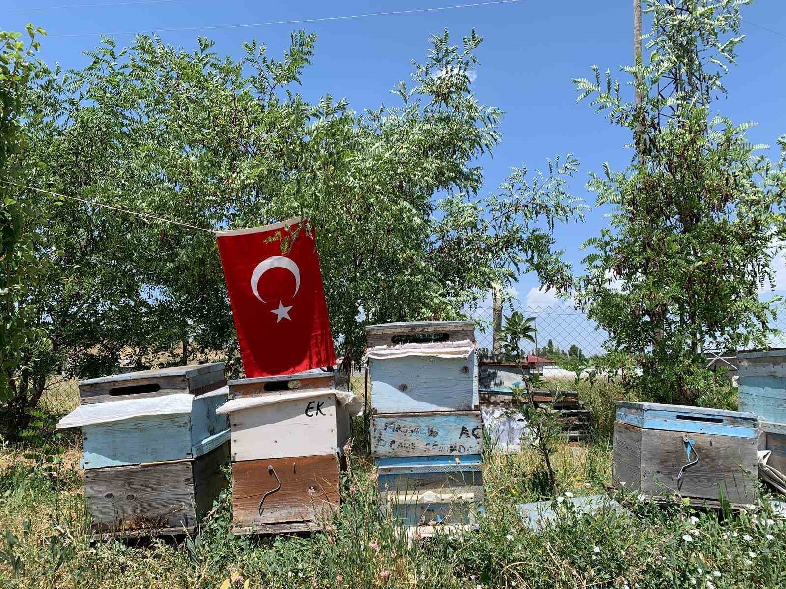 Ağrı ay yıldızlı bayraklarla donatıldı 