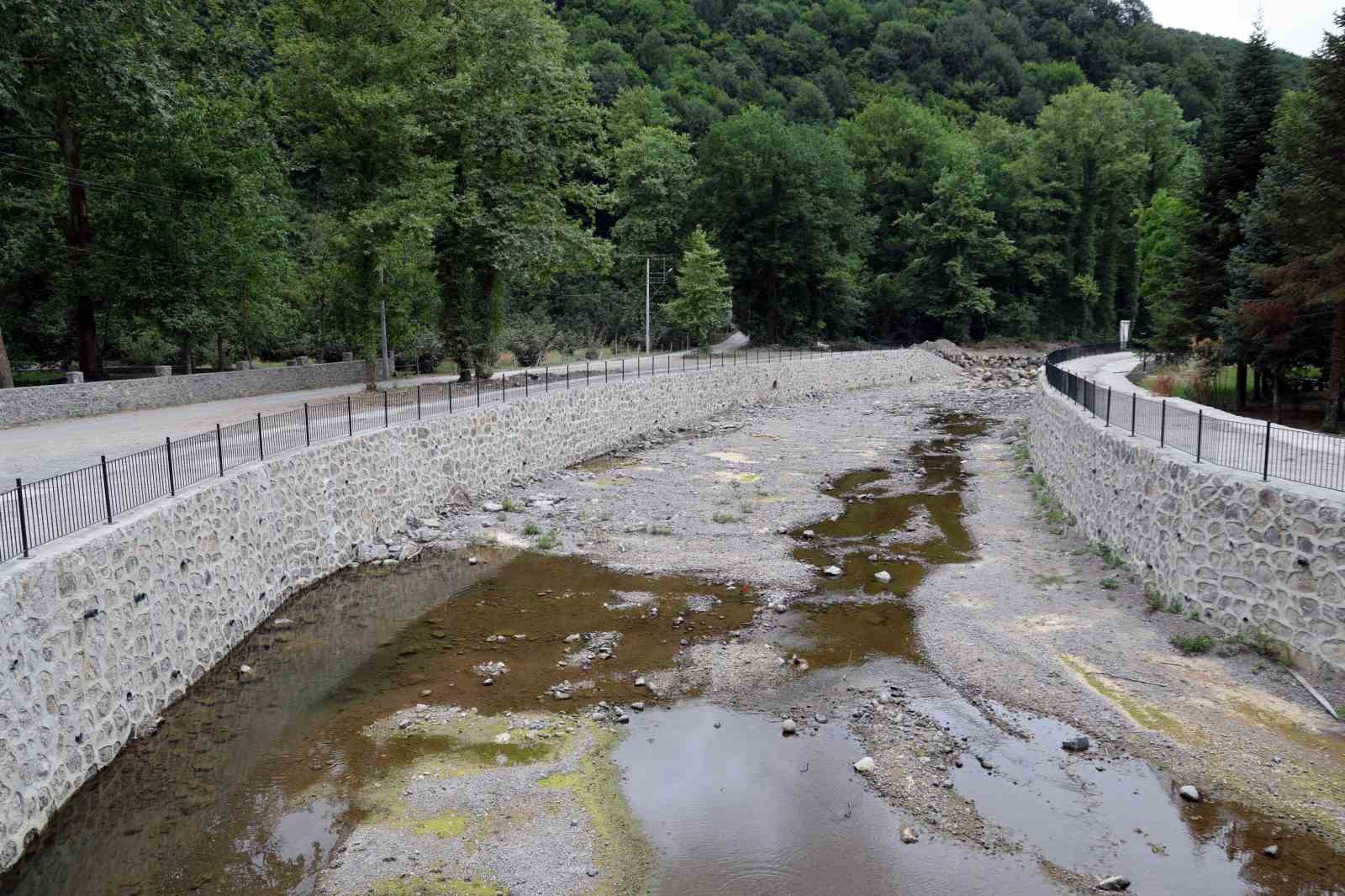 Sakarya’da korkutan manzara: Doğaseverlerin gözdesi kurudu 