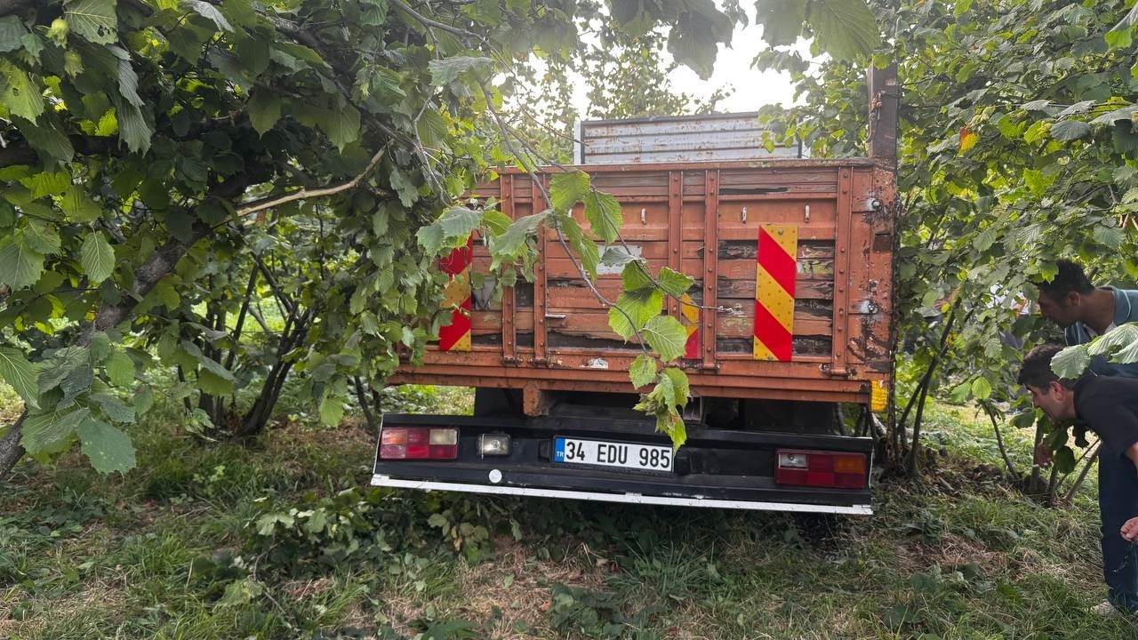 Zonguldak’ta kamyonet fındık bahçesine uçtu: Araçtan fırlayan sürücü öldü 