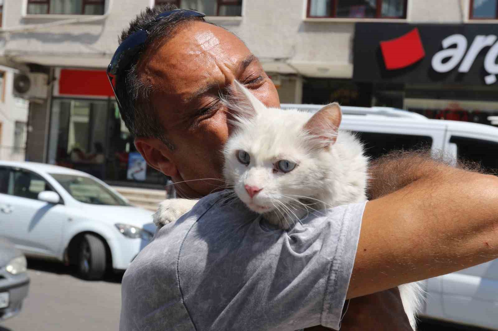 Kayıp kedisine günler sonra kavuştu, bu kez mutluluktan ağladı 