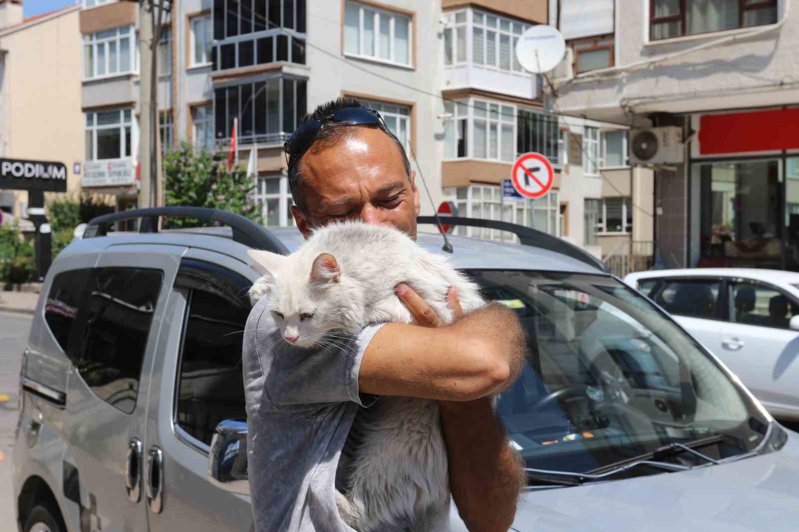 Kayıp kedisine günler sonra kavuştu, bu kez mutluluktan ağladı 