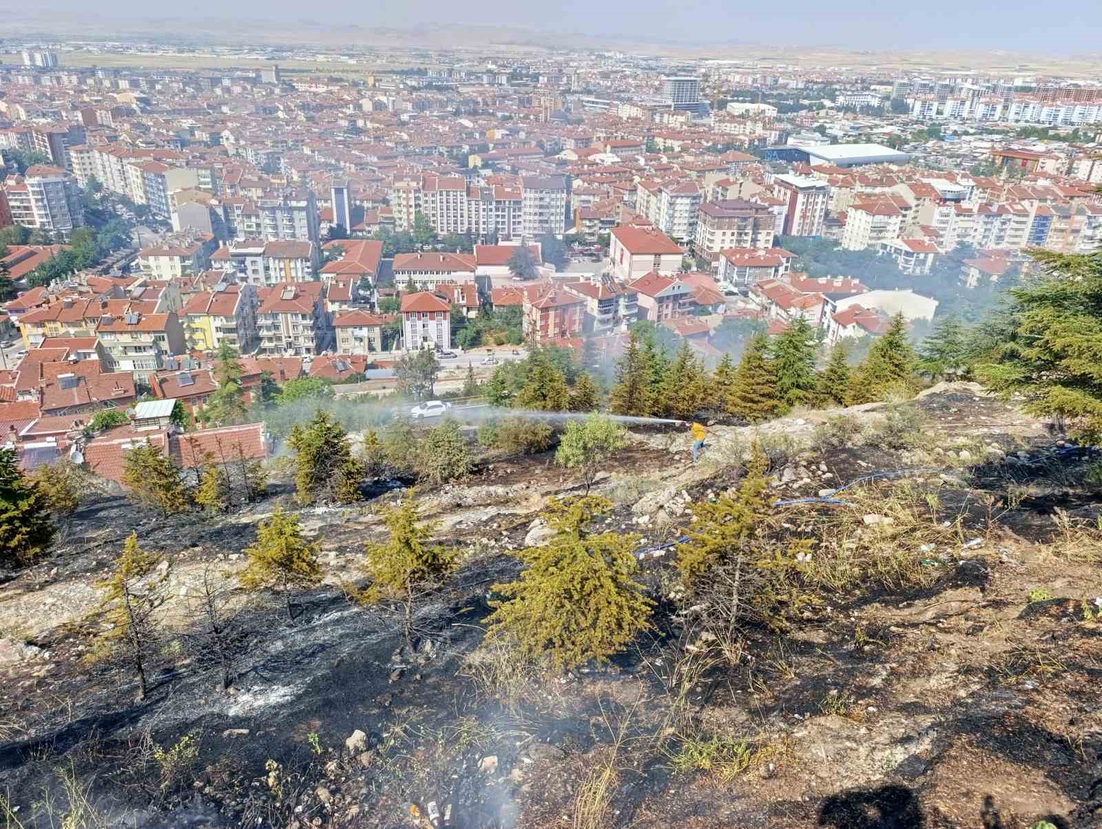 Ağaçlık alandaki yangın paniğe neden oldu 