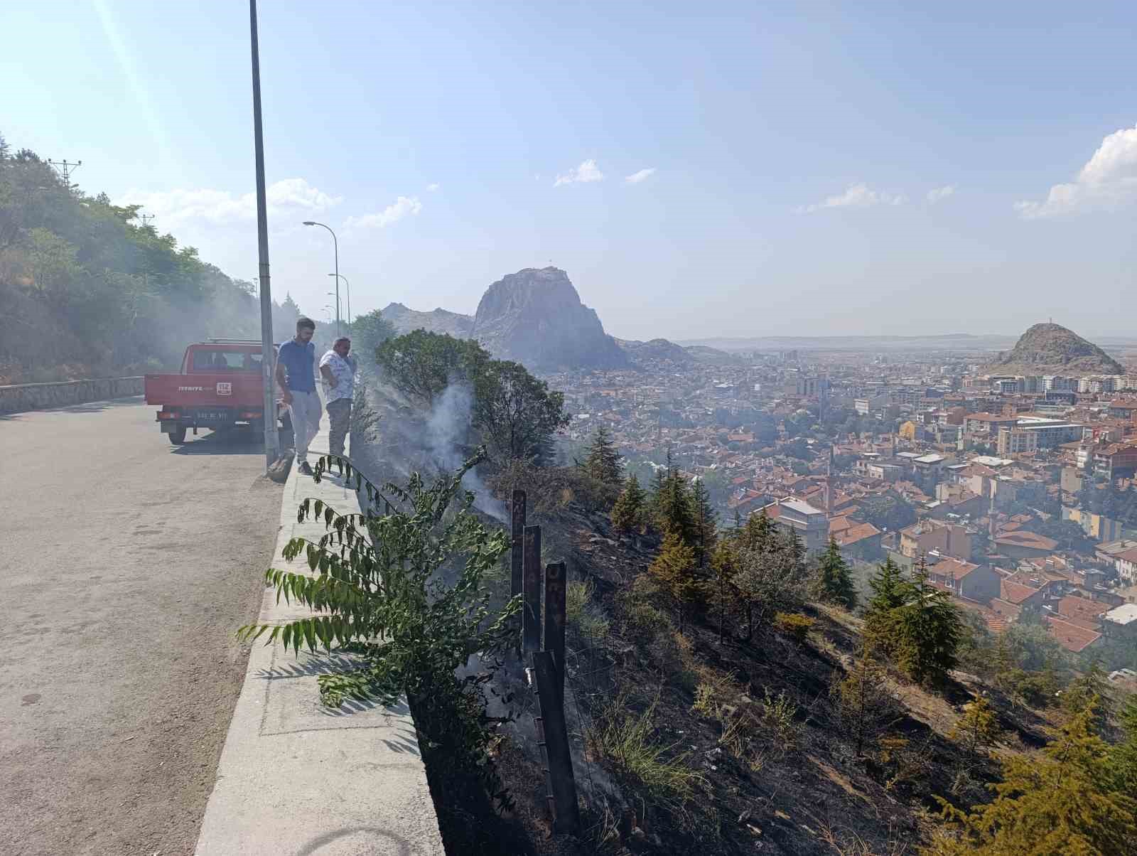 Ağaçlık alandaki yangın paniğe neden oldu 