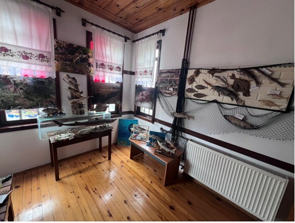 Akçakoca sualtı dünyası 