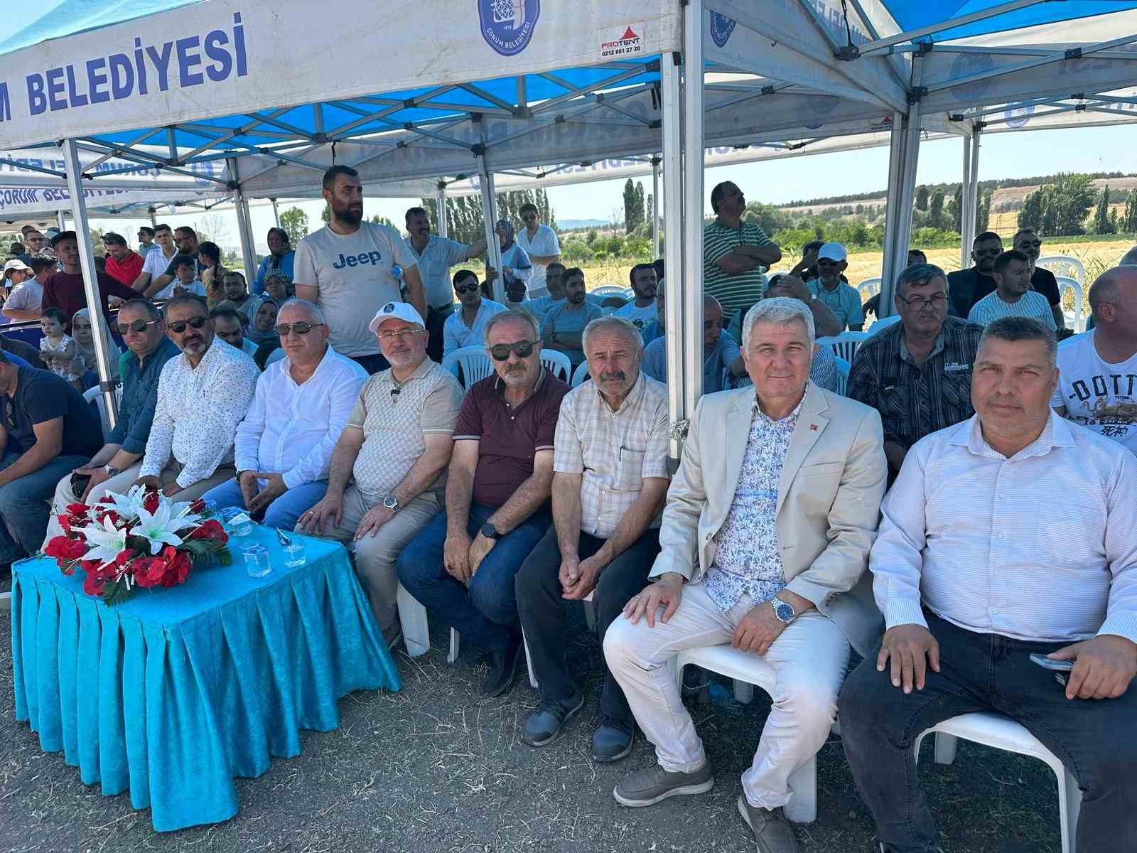 Çorum’da at yarışları nefes kesti 