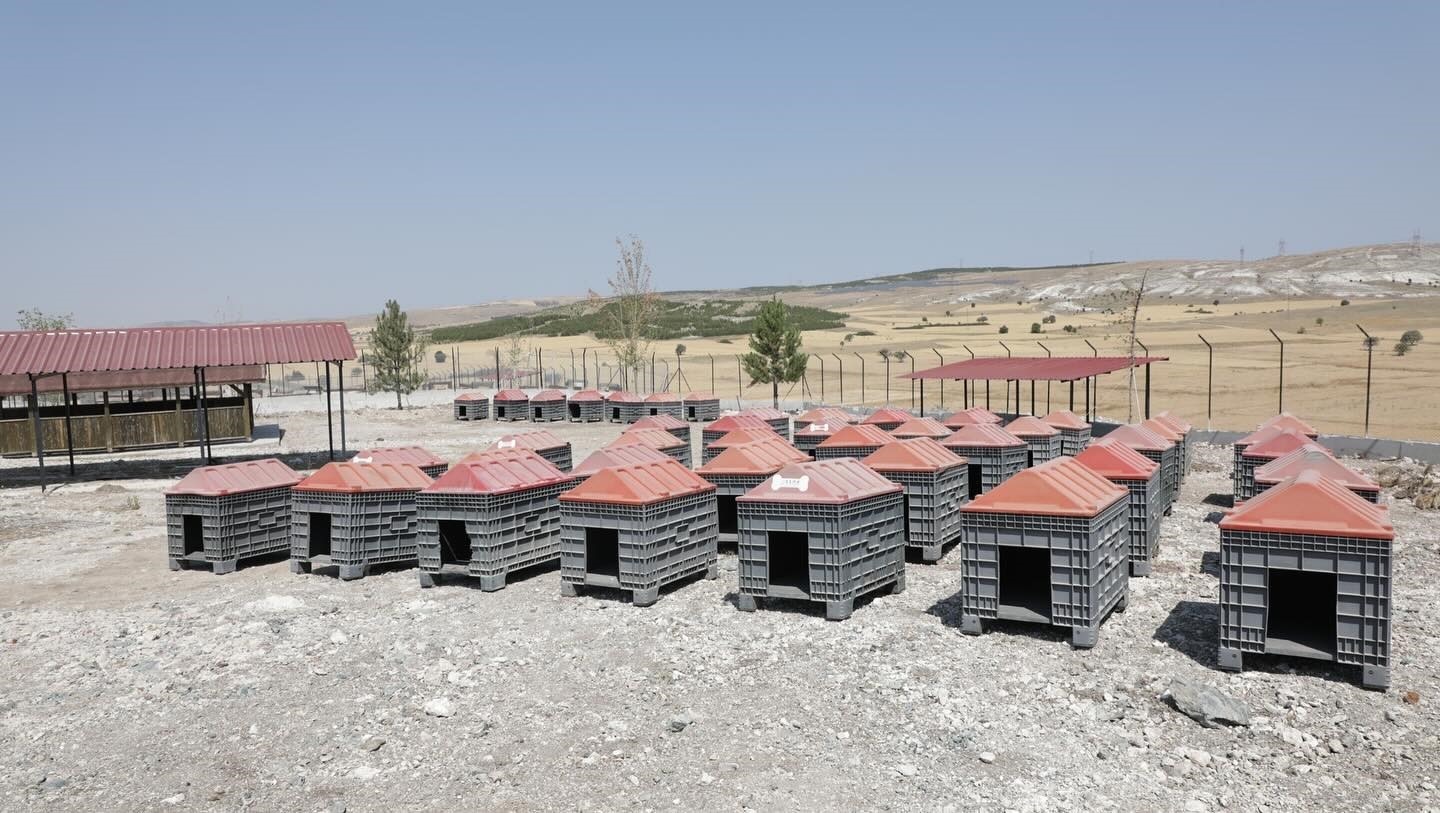 Kütahya’da sahipsiz hayvanlar için doğal yaşam alanı tamamlandı 