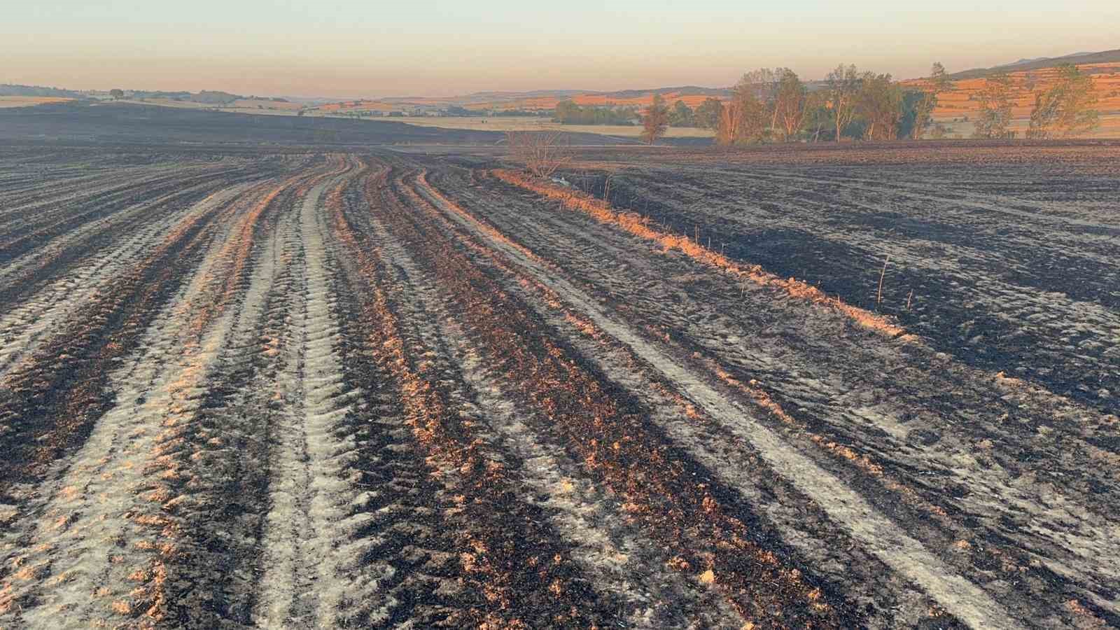Tekirdağ’da 2 bin 500 dönüm ekili alan ve 200 adet arı kovanı yandı 