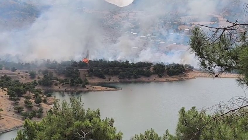 Adıyaman’da ormanlık alanda yangın 