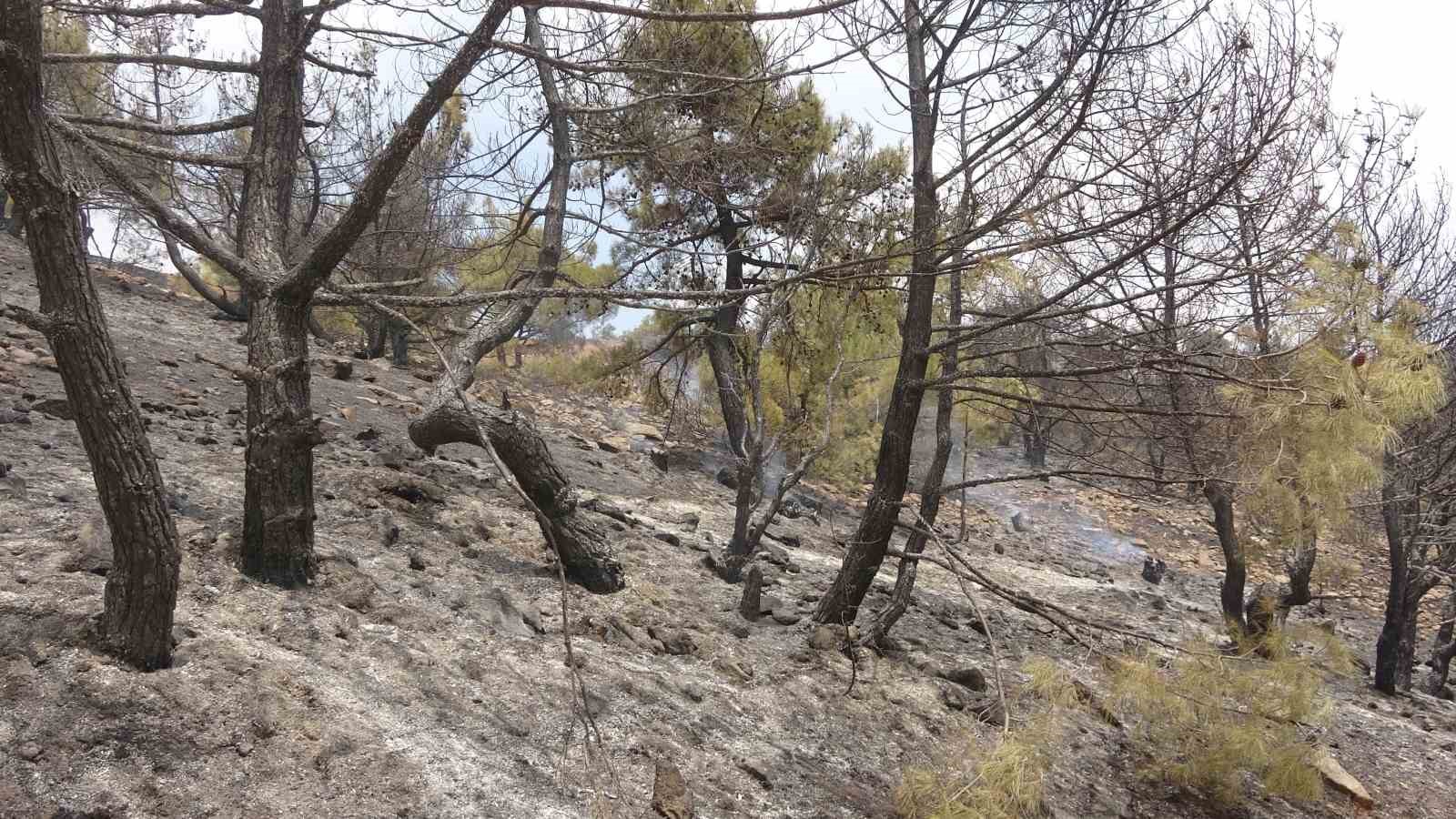 Adıyaman’da orman yangınına helikopterle müdahale edildi 