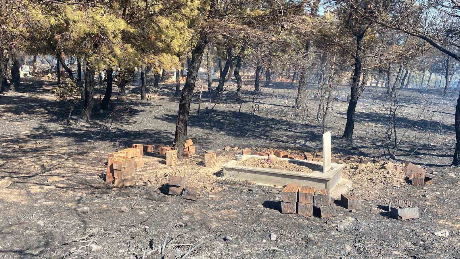 Çanakkale’de çıkan orman yangınında damlar yandı, hayvanlar telef oldu 