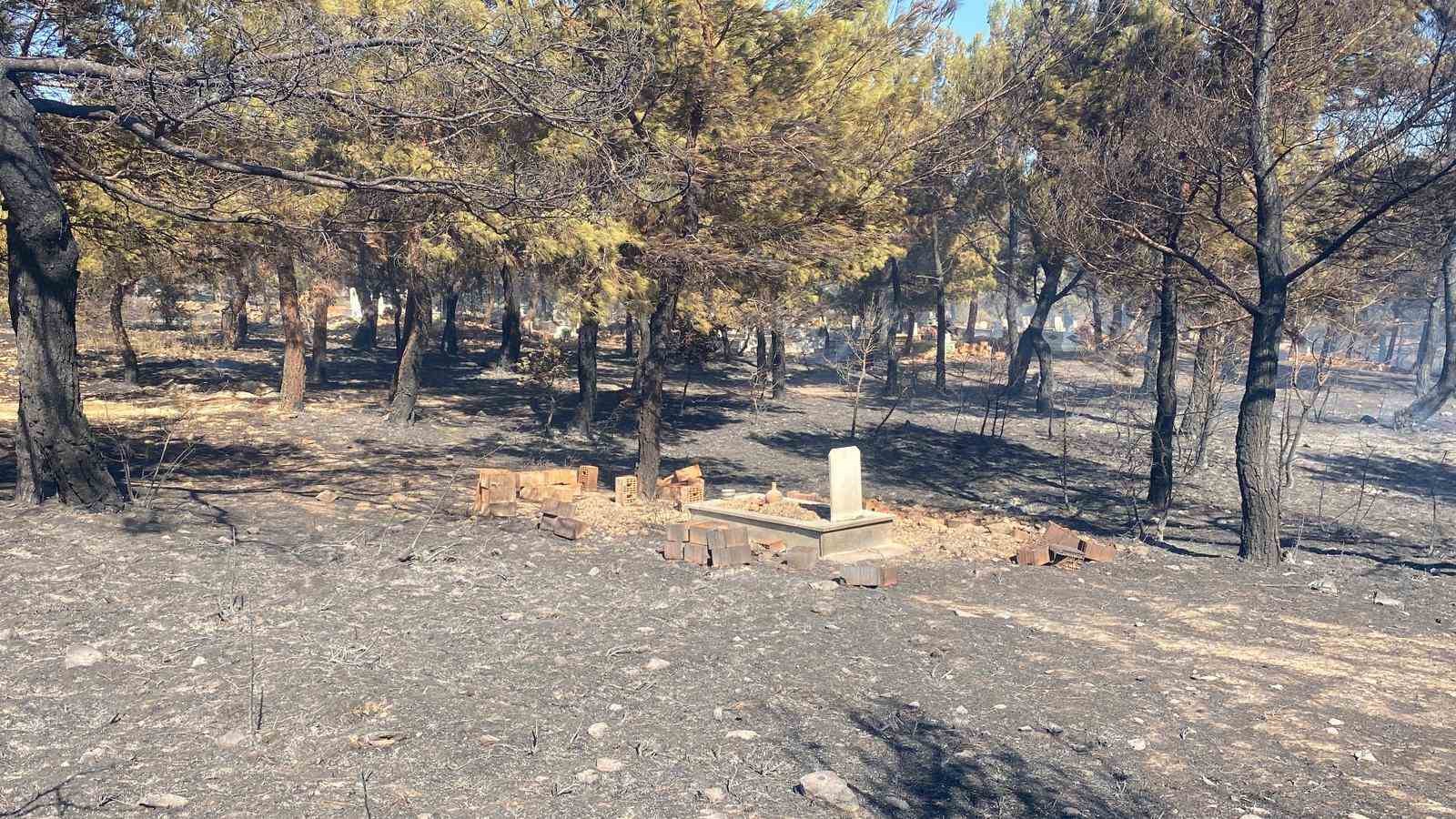 Çanakkale’de çıkan orman yangınında damlar yandı, hayvanlar telef oldu 