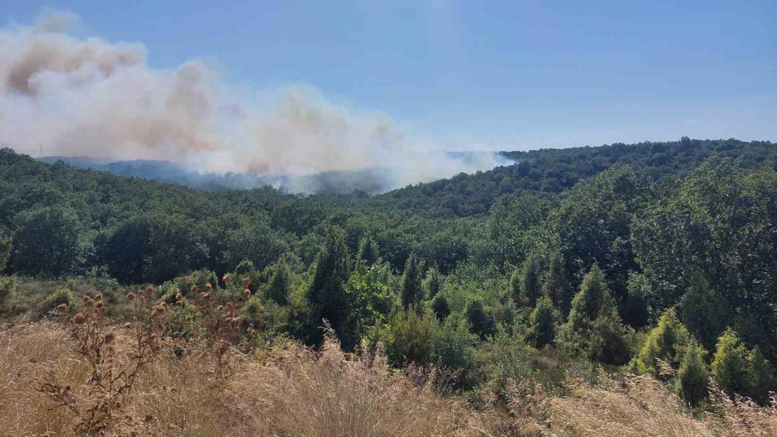 Gebze’deki orman yangınını söndürme çalışmaları sürüyor 