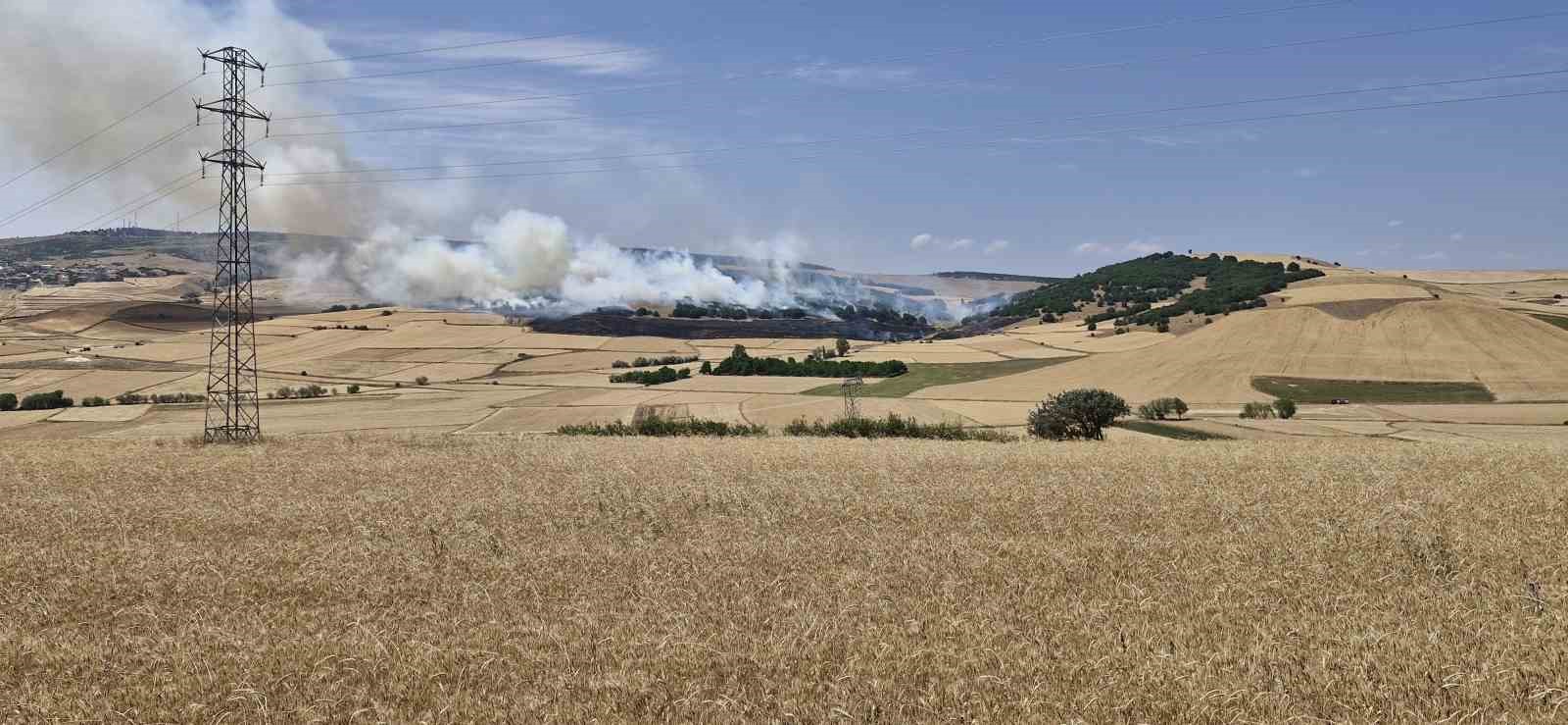 Çorum’da tarlada çıkan yangında 200 dönüm ekili arazi kül oldu 
