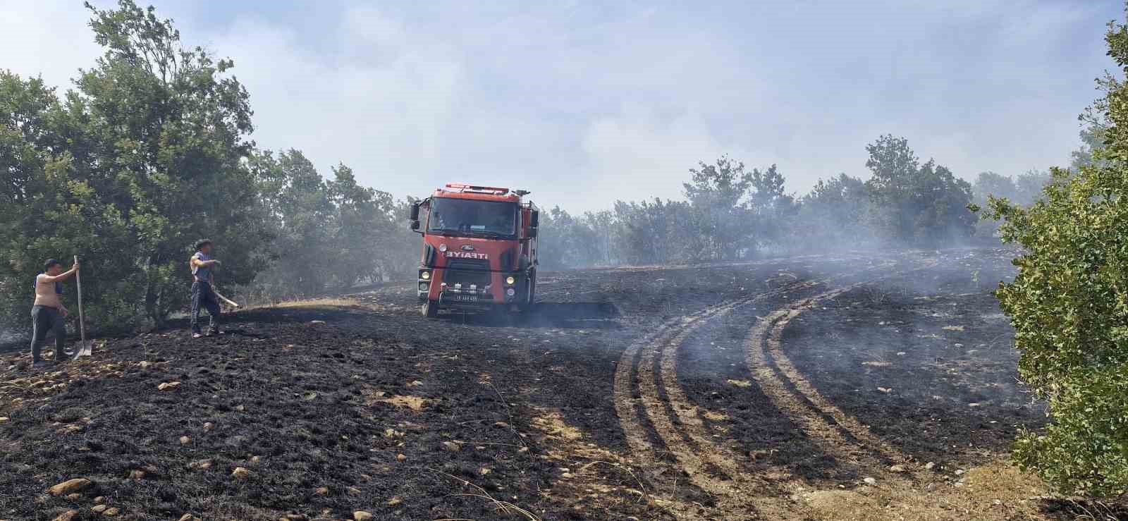 Çorum’da tarlada çıkan yangında 200 dönüm ekili arazi kül oldu 