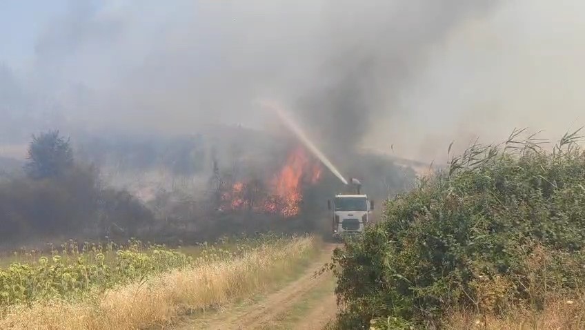 Tekirdağ’daki orman yangını tarım arazilerine sıçradı: 2 mahalle tahliye edildi 